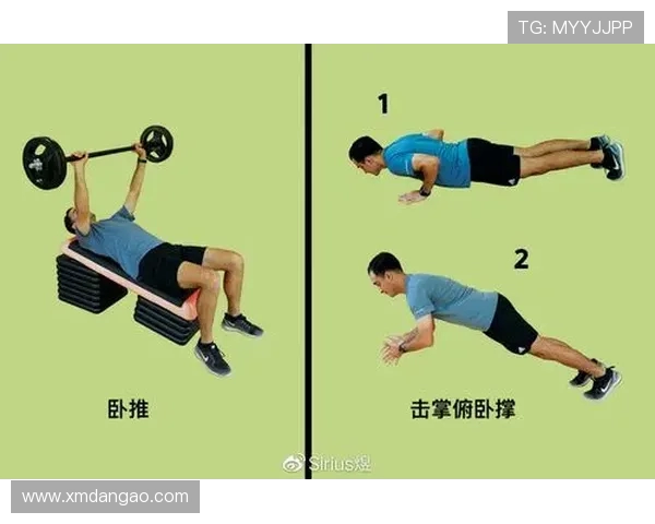 高强度跳跃训练如何增强爆发力与耐力