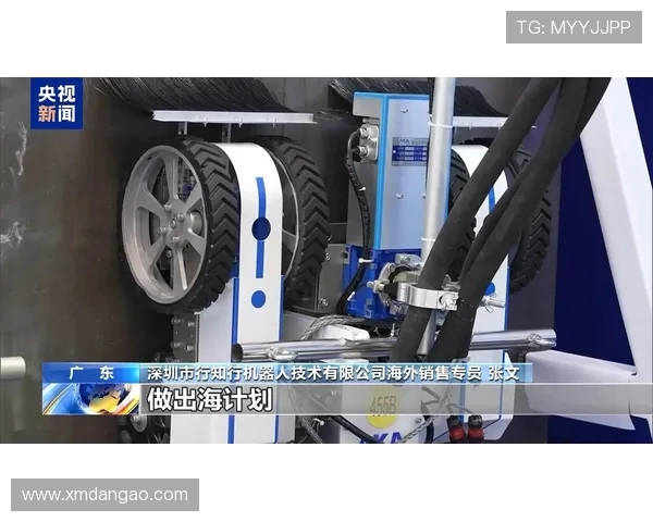 高端健身器械赛道上的中国智造突围战